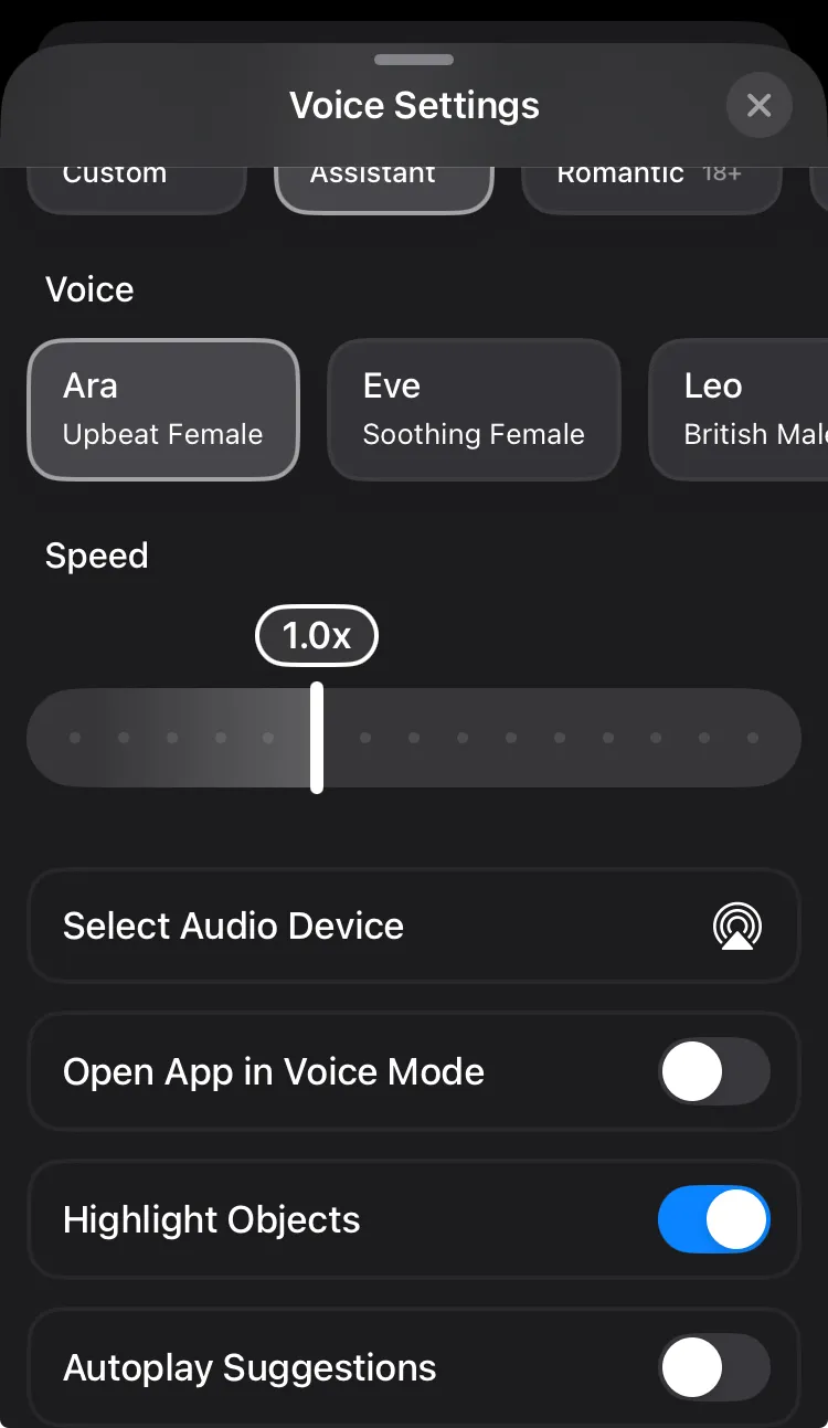 Voice Settings Interface