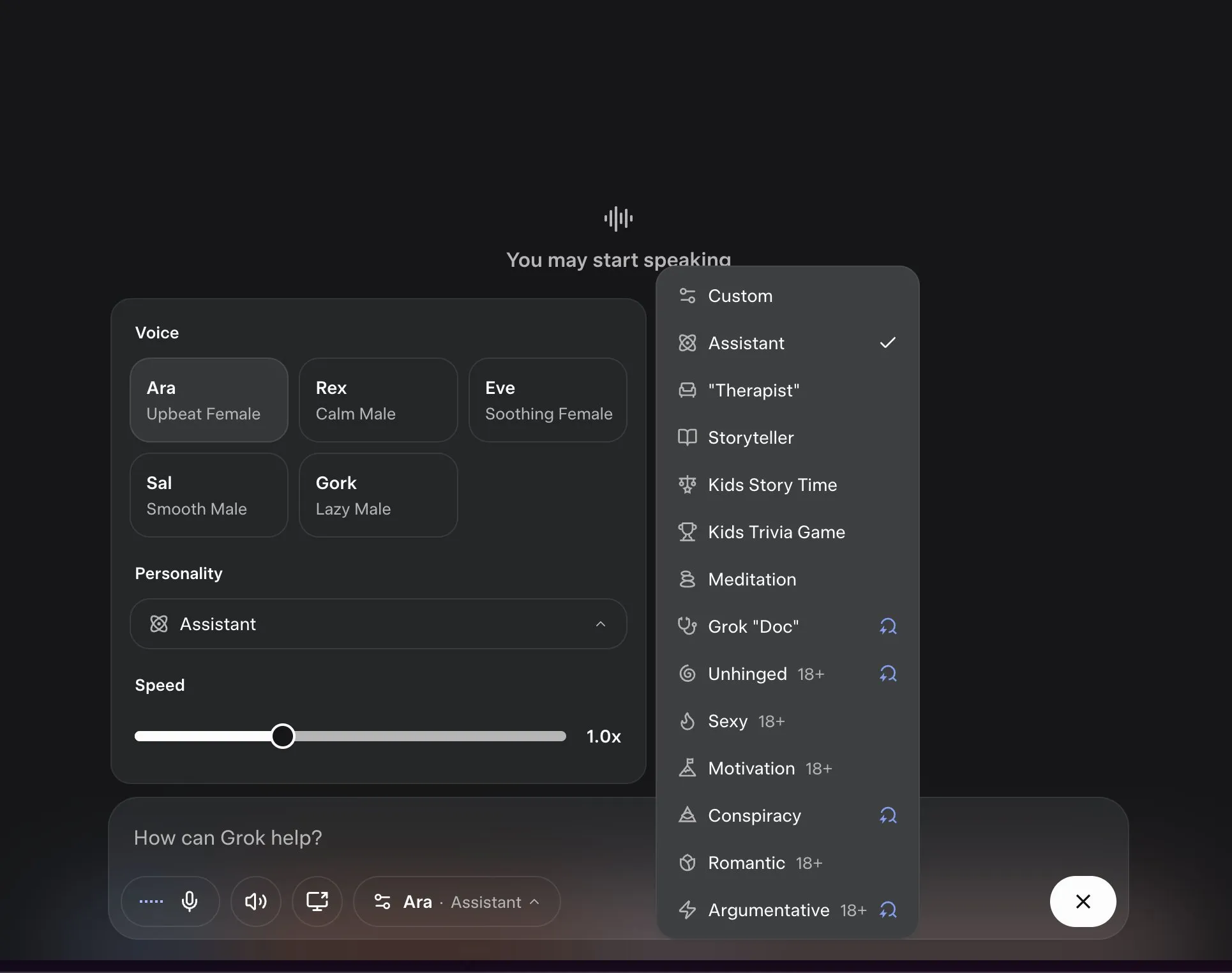 Grok Voice Web Interface